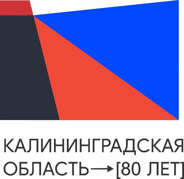 Правительство Калининградской области разработало новый бренд-бук