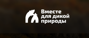 Всероссийская экологическая инициатива «Вместе для дикой природы»