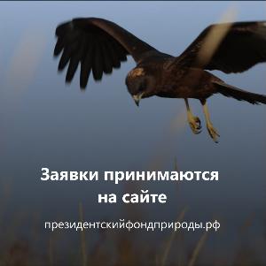 Стартовал конкурс экологических и природоохранных проектов