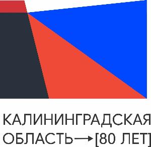 Правительство Калининградской области разработало новый бренд-бук