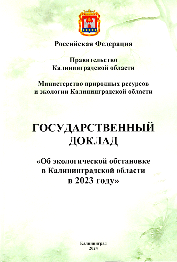 ОБЛОЖКА ГОСДОКЛАД.png